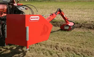 Maschio Cristina 560