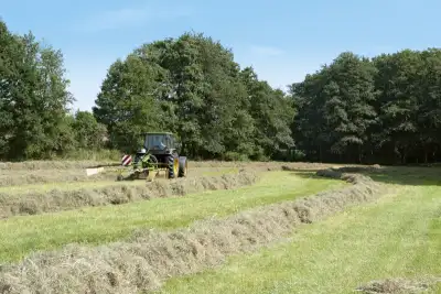 Krone Swadro 42 thumbnail 3