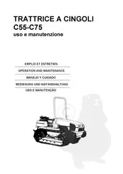 Goldoni C 75 V