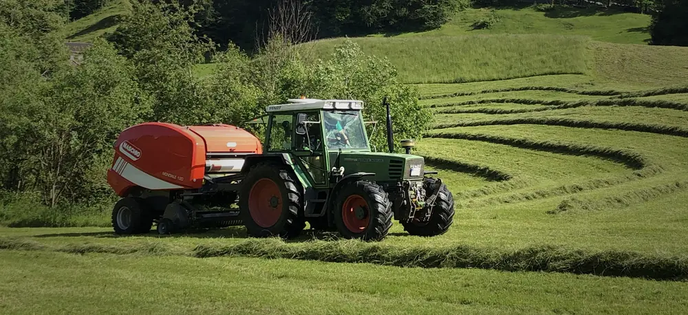 Maschio Mondiale 120 TOPCUT thumbnail 2