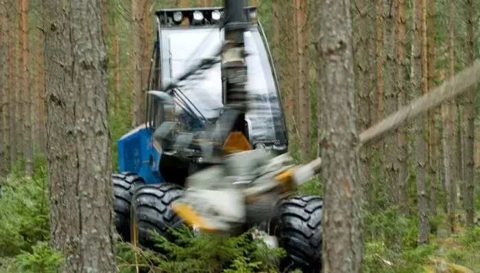Rottne H 8 B thumbnail 6