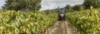 McCormick X4.110F thumbnail 4