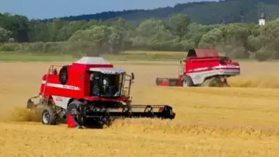Massey Ferguson Activa 7245 SAL