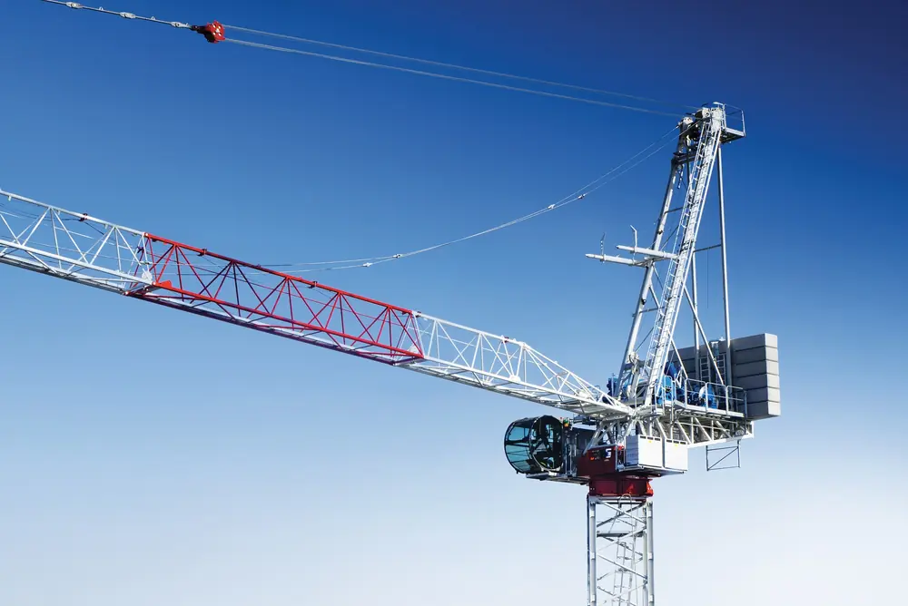 Raimondi LR273