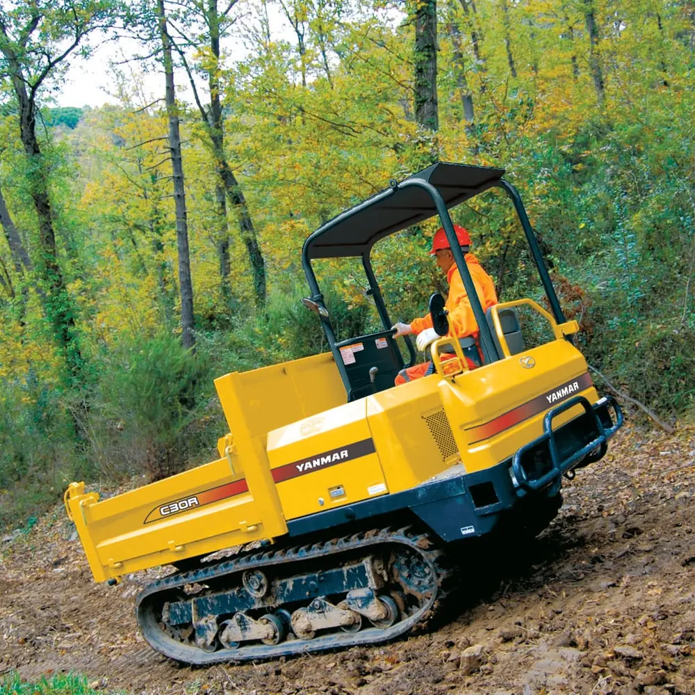Yanmar C 30 R 2 B