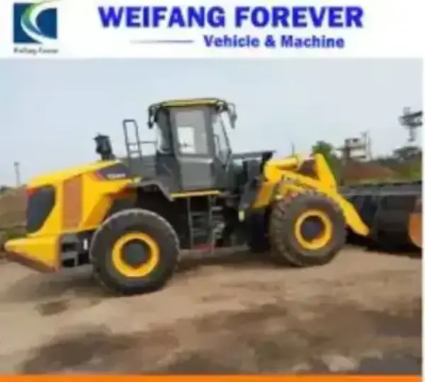 Liugong 856
