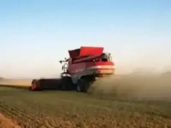 Massey Ferguson Fortia 9895 thumbnail 2
