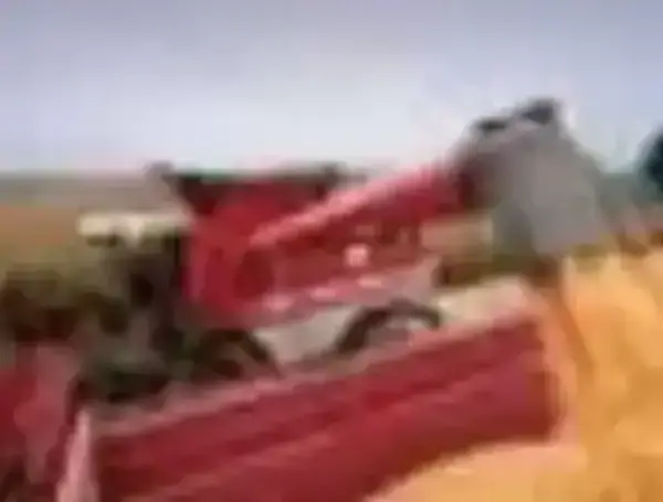 Massey Ferguson Fortia 9895 thumbnail 4