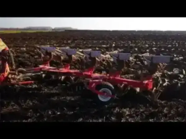Maschio Unico XL 5+1 STD
