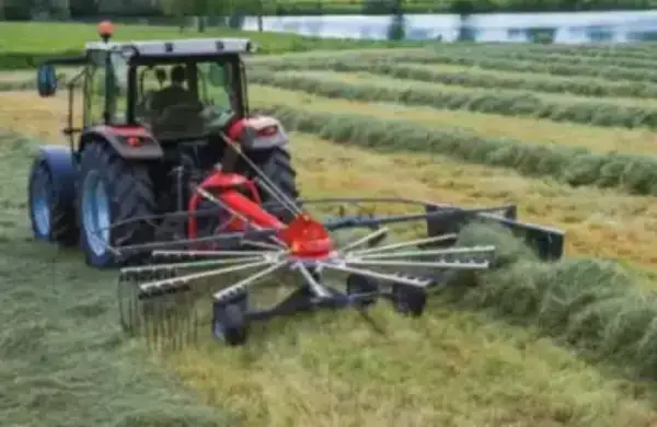 Massey Ferguson RK341 DN