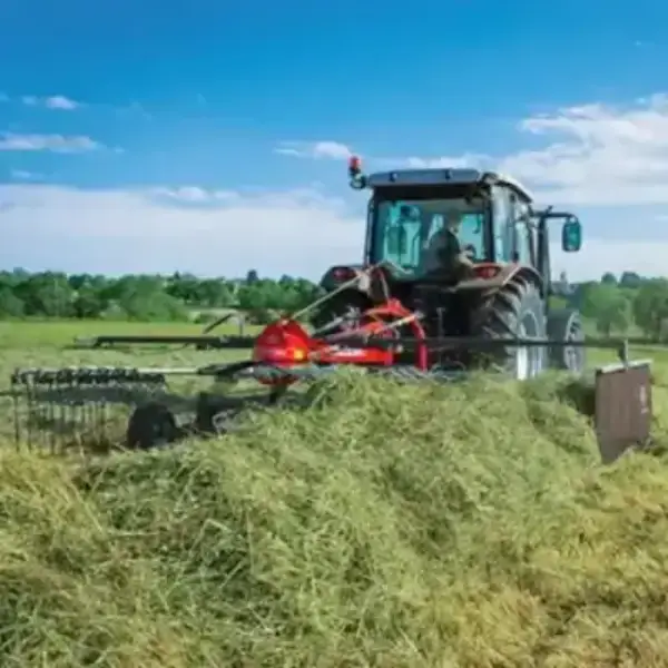 Massey Ferguson RK341 DN thumbnail 3