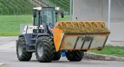 Terex TL 260 thumbnail 7