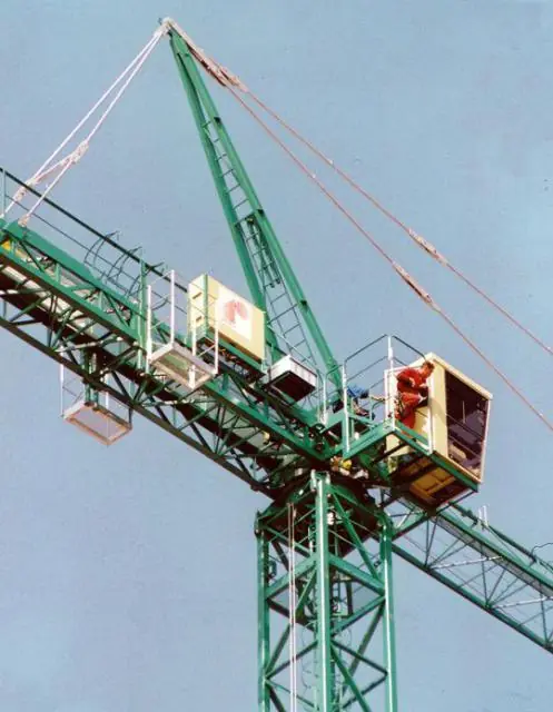 Raimondi MR99 thumbnail 2