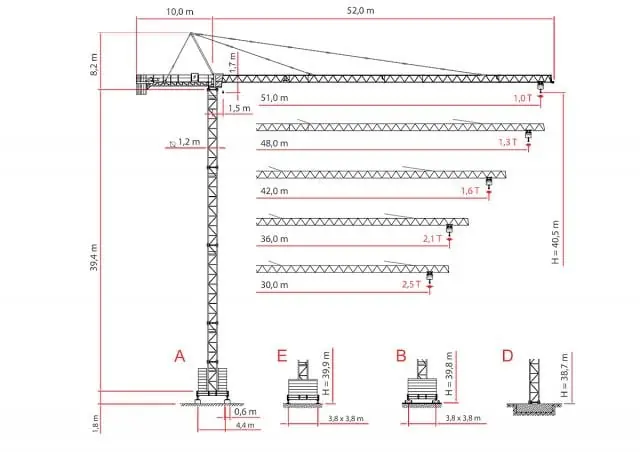 Raimondi MR81