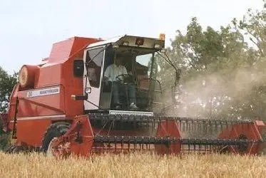 Massey Ferguson MF 26