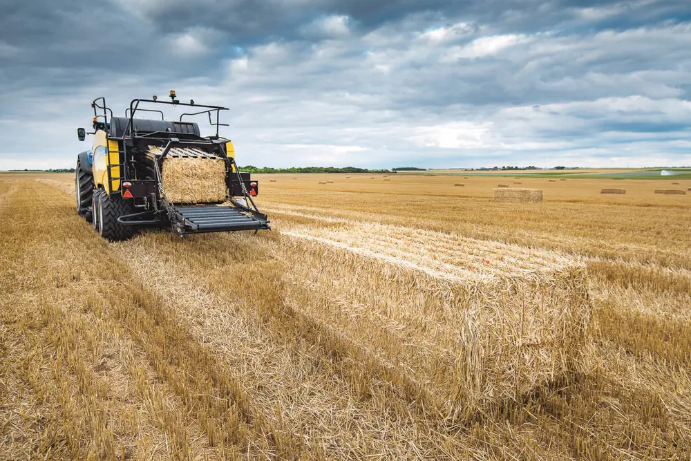 New Holland BB 1290 RC Plus thumbnail 32