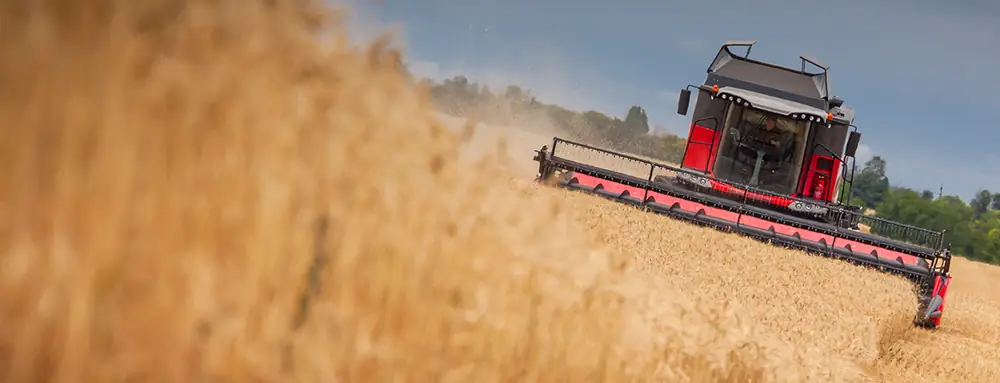Massey Ferguson Beta 7360 PLI thumbnail 2