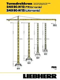 Liebherr 245 EC-H 12 Litronic