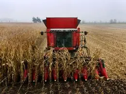 Massey Ferguson Fortia 9795