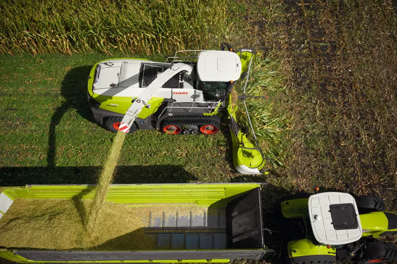 Claas Jaguar 990 Terra Trac thumbnail 6