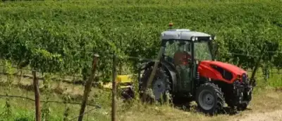 SAME Frutteto V 80 Classic