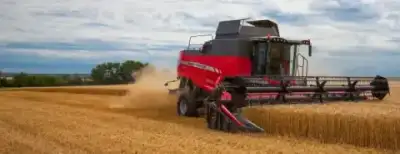 Massey Ferguson Beta 7370 PL