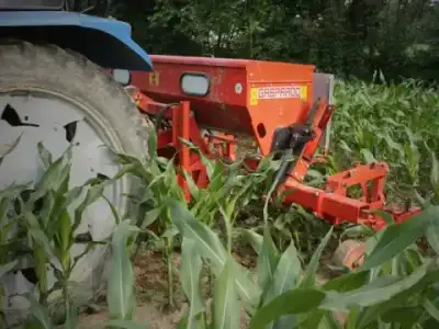 Maschio HP-6 thumbnail 2