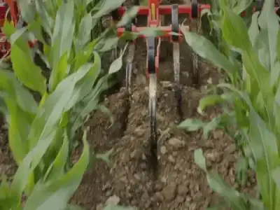 Maschio HP-6 thumbnail 3