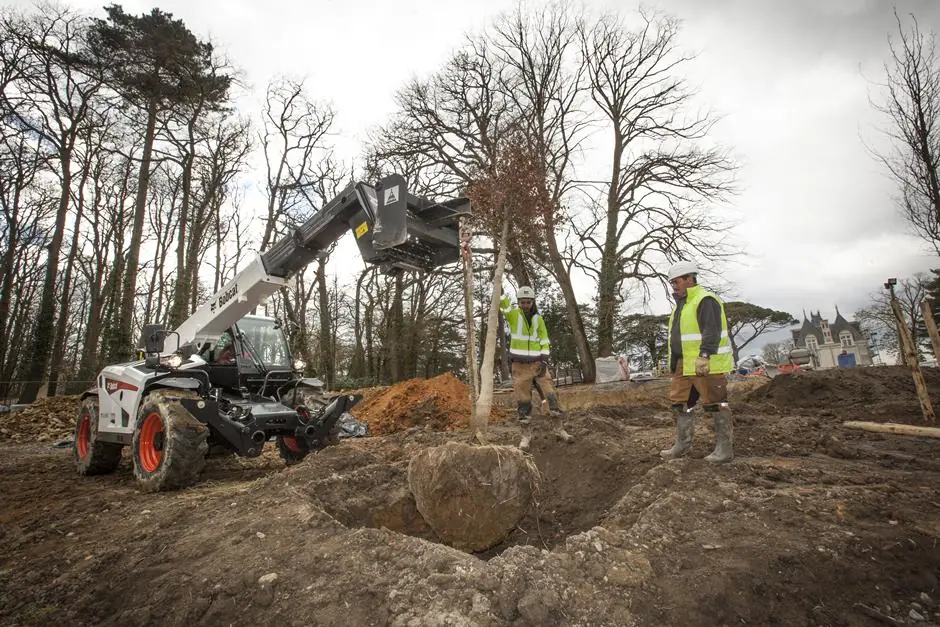 Bobcat T36.120SL 75 IV thumbnail 3