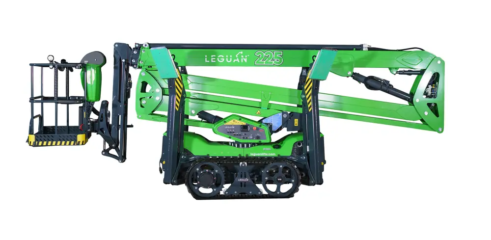 Leguan 225 thumbnail 2