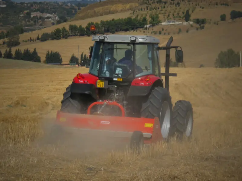 Maschio Chiara 250 S thumbnail 3