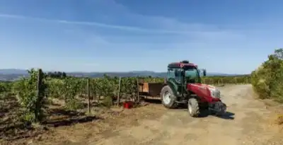 McCormick X4.100XL