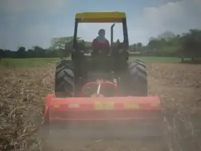 Maschio Tornado 220 thumbnail 2