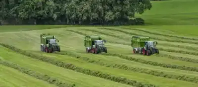 Fendt Tigo 70 MS thumbnail 3