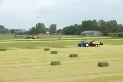 New Holland BB 1290 S thumbnail 9