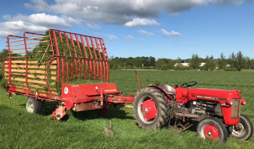 Massey Ferguson 30