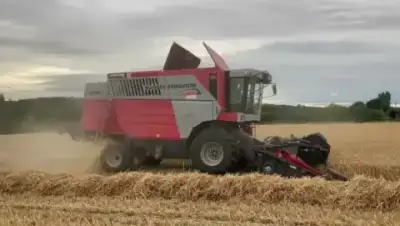Massey Ferguson Cerea 7274 AL