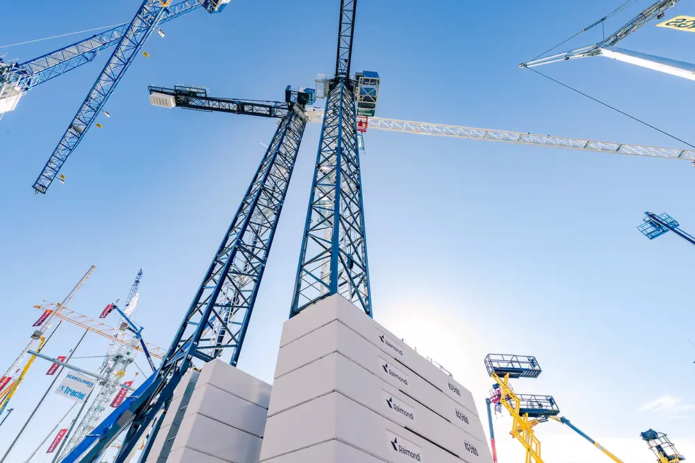 Raimondi T357