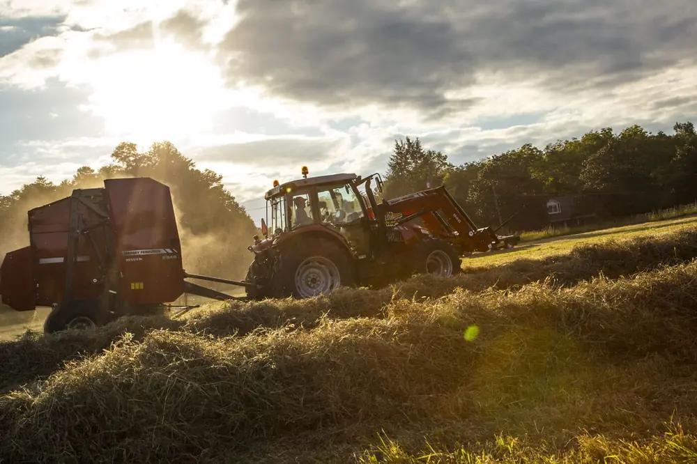 Massey Ferguson 2946 A