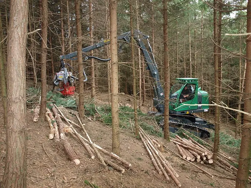 Neuson Forest 104HV