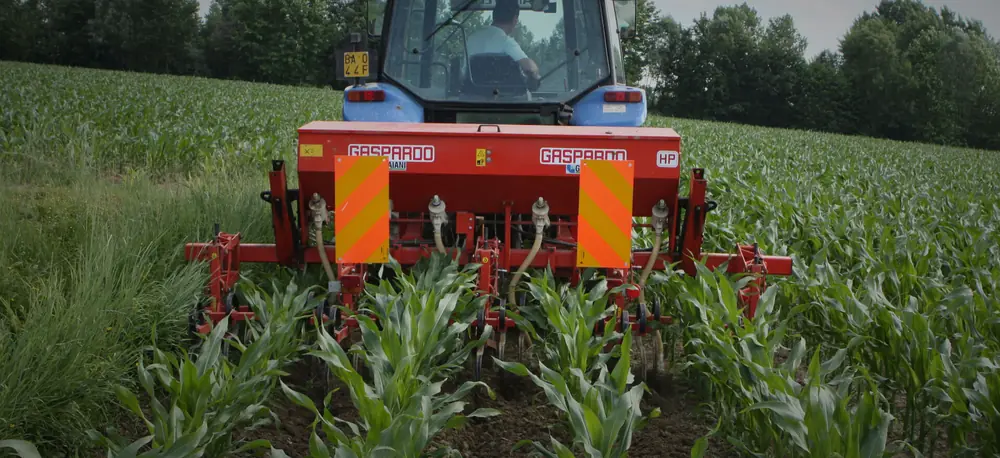 Maschio HP-4