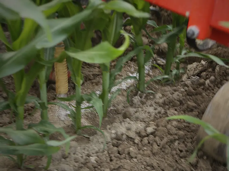 Maschio HP-4 thumbnail 3