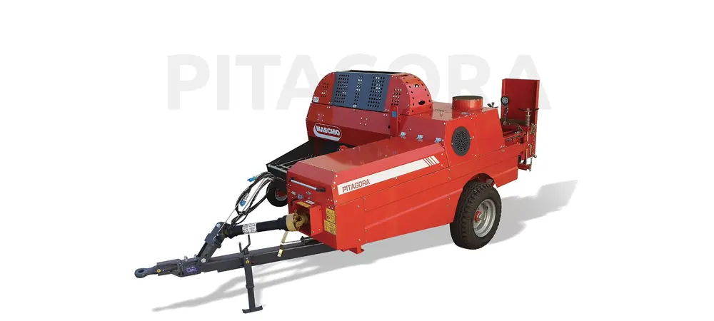 Maschio Pitagora L