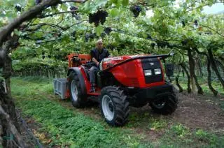 Massey Ferguson MF 3435-4 GEV