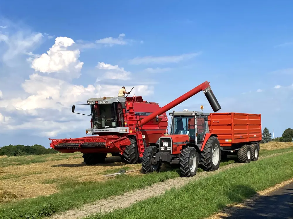 Massey Ferguson MF 38 AL