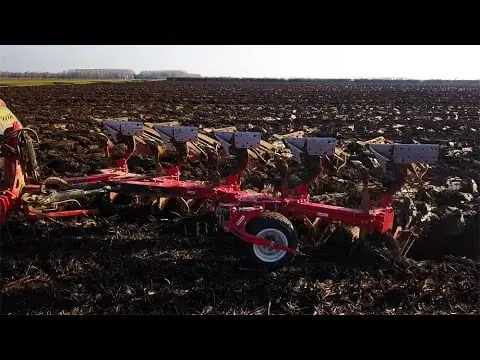 Maschio Unico XL 5+1 HD