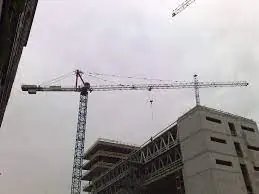 Raimondi ER 291