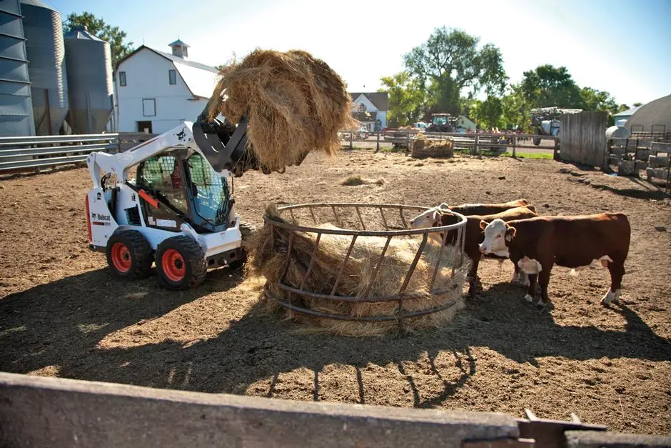 Bobcat S590