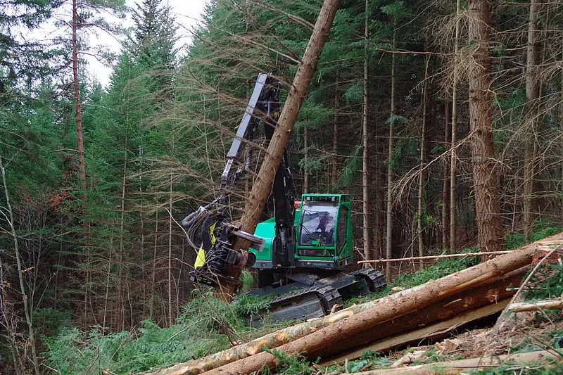 Neuson Forest 243HVT thumbnail 3