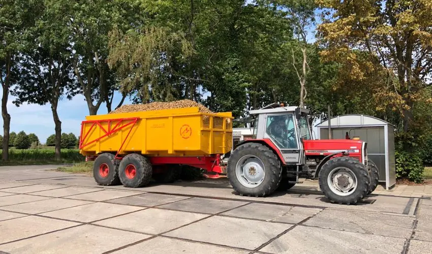 Massey Ferguson 3115